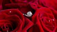 pic for Diamond Ring And Roses 